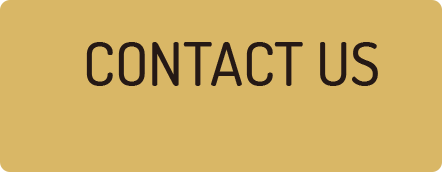 contact icon